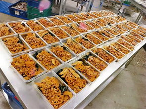 莎家邦速食食品批發(fā) 河北優(yōu)質(zhì)初級農(nóng)產(chǎn)品在線咨詢服務