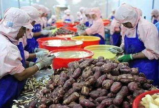 2017年，錯(cuò)過這些初級(jí)農(nóng)產(chǎn)品好項(xiàng)目，農(nóng)民朋友們或?qū)⒑蠡? />
</span>
<span id=